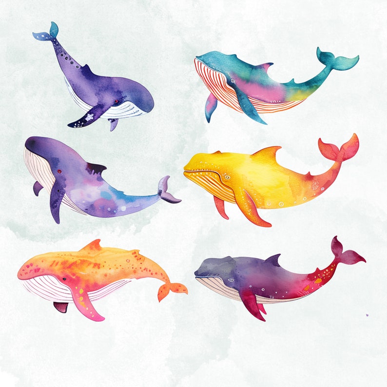 Watercolor Whales Clipart Bundle - Whale PNG - Whale Clipart - Colorful ...
