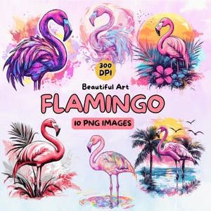 Prachtige flamingo Art Design digitale download, flamingo png, 300 dpi, illustraties voor commercieel gebruik, digitaal ontwerp, illustraties, dierenkunst