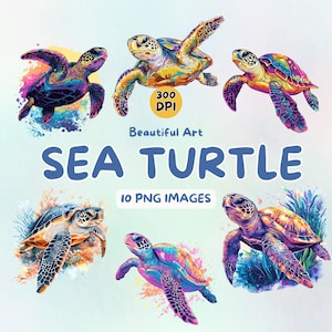 Sea Turtle Art Design Digital Download, Turtle PNG, Turtle PNG, 300  DPI, Commercial Use Illustrations, Digital Design, Ocean Clip Art