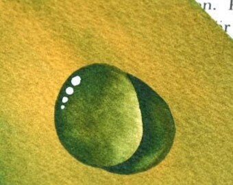 Avocado Green Dew Drop an Original Watercolor Painting by Artist Rita Squier - Size 2.5x3.5 inch ACEO