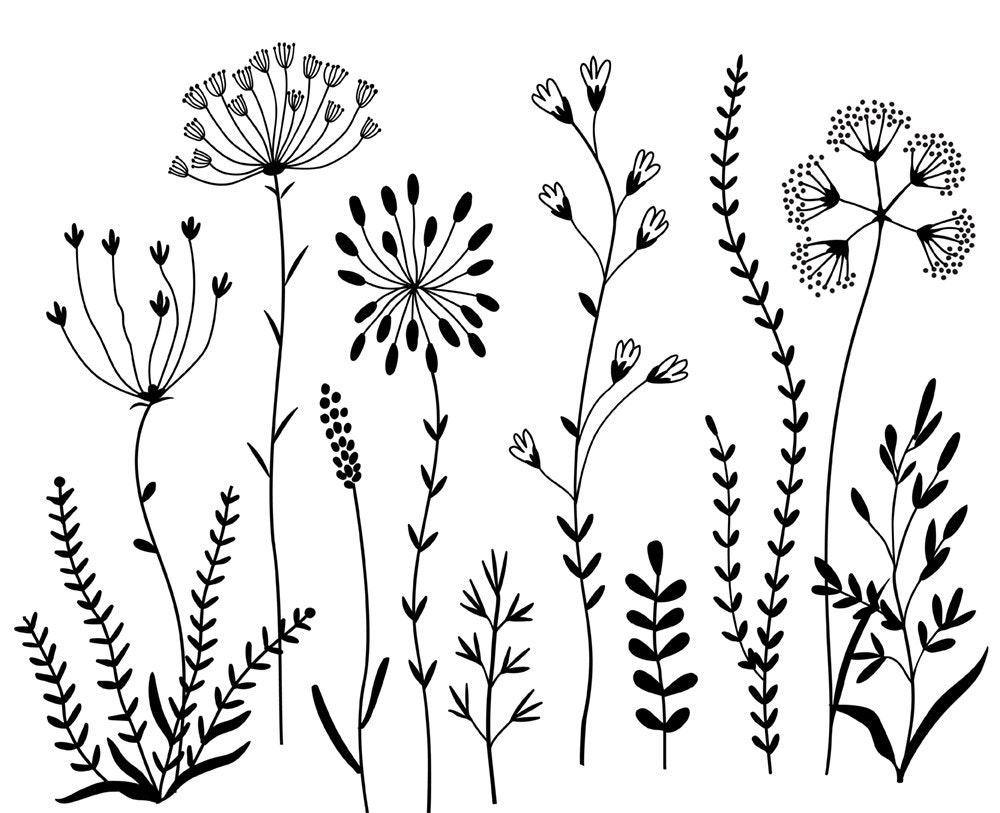 Grass and Flower Stems  Printable Clip Art and Images