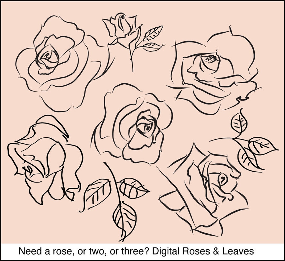 Digital Sketchy Roses Brushes and Stamps. Instant Download. Digital ...