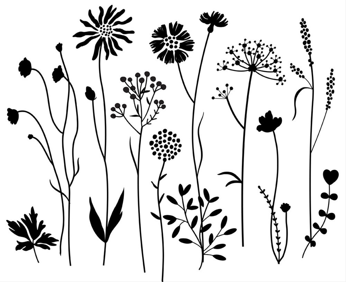 wildflower vectr wildflower vectr