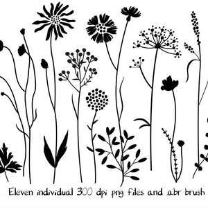 Wildflowers 2 Digital Clipart Hand Drawn Digital Clipart - Etsy UK
