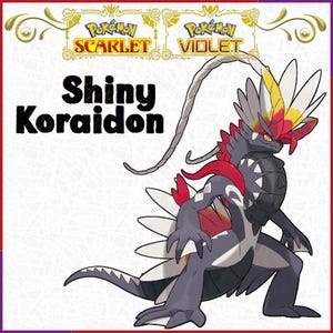 Op de afbeelding: Digitale illustratie van Shiny Koraidon, een Pokémon-personage. Het wezen is voornamelijk grijs met rode, witte en gele accenten. De tekst "Shiny Koraidon" staat vetgedrukt in zwarte letters. De Pokémon Scarlet en Violet logo's staan bovenaan.