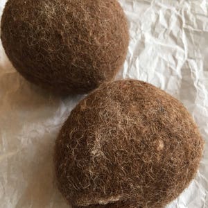 May include: Two brown, hairy, round objects, possibly kiwi fruit, on a white crumpled paper background.