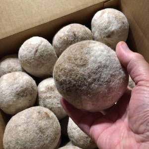 Peut inclure: Gros plan sur une main tenant une boule de laine feutrée marron et blanche. La boule est entourée d'autres boules similaires dans une boîte.