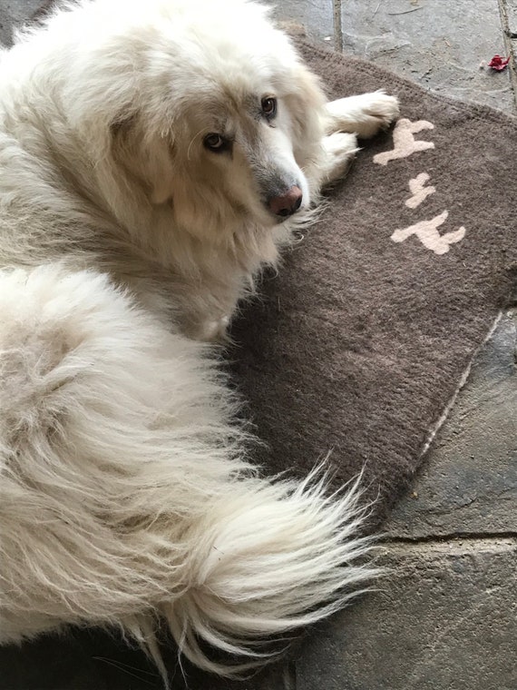 Outdoor dog house bedding discount