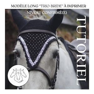 Peut inclure: Un bonnet anti-mouches noir et blanc pour cheval avec un motif décoratif en forme de V. Le bonnet a une bordure blanche et est porté avec un bridon. L'image comprend le texte "MODÈLE LONG "TRIO-BRIDE" À IMPRIMER" et "NIVEAU CONFIRMÉ(E)".