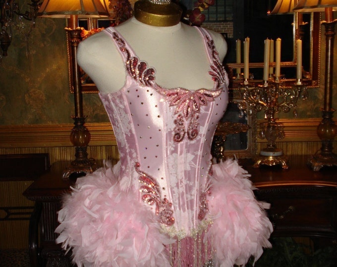 The Victoria Velvet Satine Pink Paris Burlesque Corset Costume - Etsy