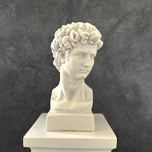 David Bust Statue, 33 cm - 13 in, Bust Sculpture, Greek Statue, Statue Decor