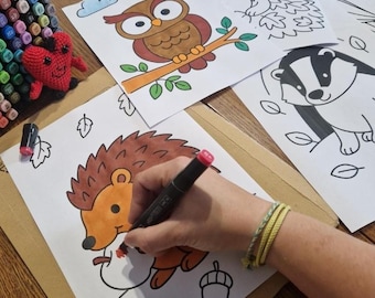 Autumn Coloring Pages Forest Animals PDF – 12 Simple Coloring Pages for Children 2 and Up – Coloring Book Animals to Print