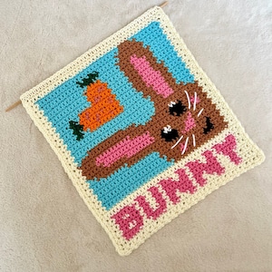 May include: A crocheted wall hanging with a brown bunny and a carrot on a blue background. The word "Bunny" is written in pink yarn at the bottom.