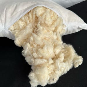 May include: A white pillowcase with a zipper opening, revealing a large amount of natural cotton filling.