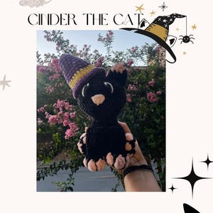 May include: A black crocheted cat wearing a purple and yellow witch hat. The cat is holding its paws up and has pink claws. The cat is being held by a hand in front of a background of pink flowers.