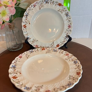 May include: Two white ceramic dinner plates with a woven pattern and floral border. The plates have a scalloped edge and feature blue, pink, and orange flowers.