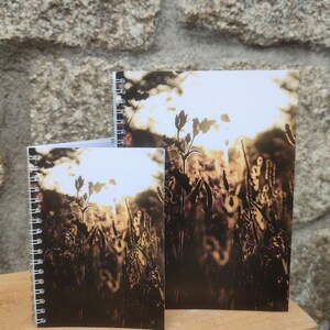 Cahiers et cartes Morning Light