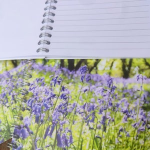 Cadernos e cartões de felicitações Bluebell Woods