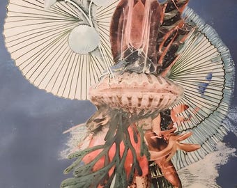 The Opening