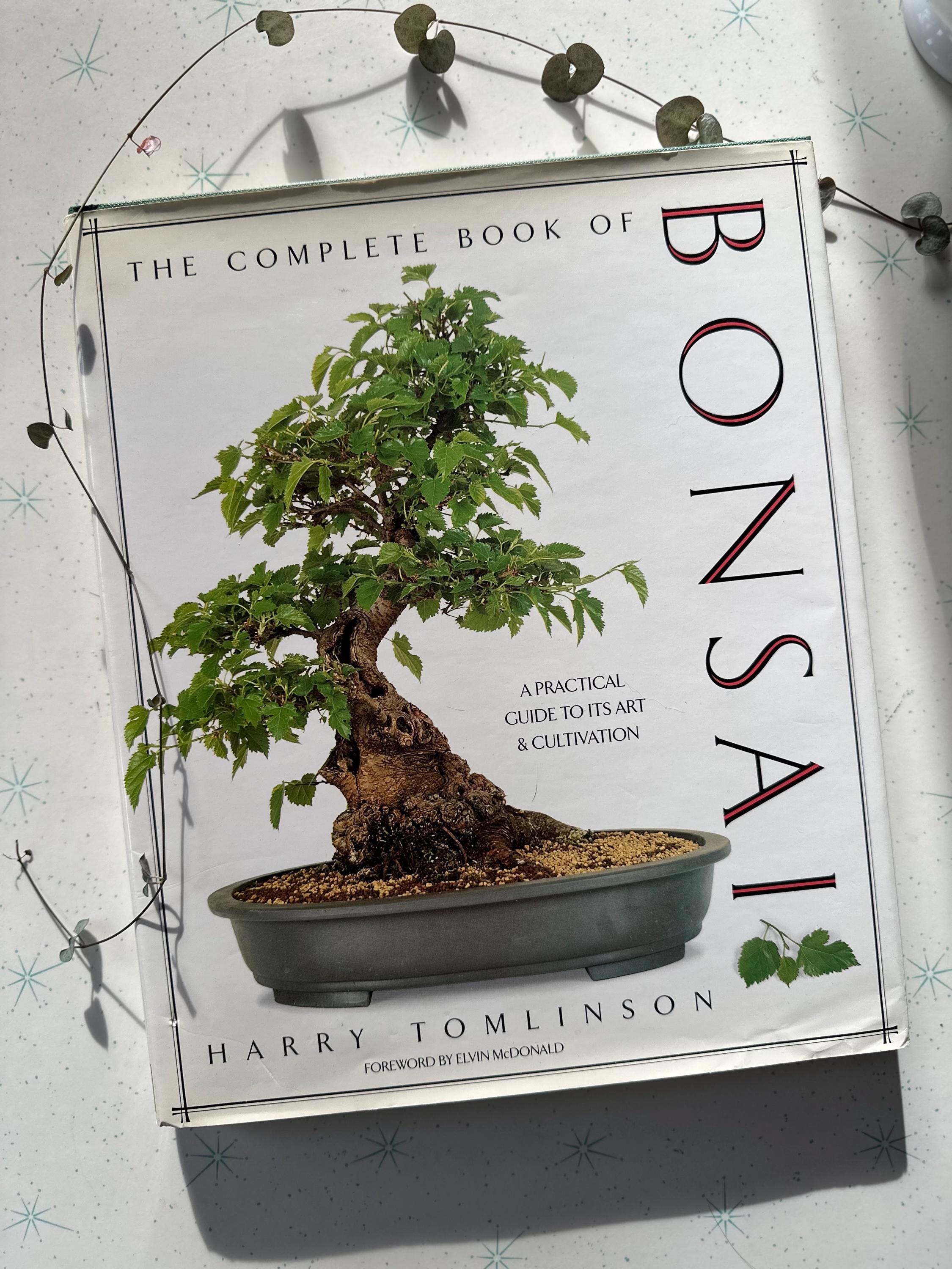 syzygium buxifolium bonsai Syzygium | Bonsai