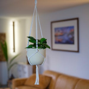 Könnte beinhalten: Eine cremefarbene Pflanzenampel mit einer grünen Pflanze, die an einem weißen Makramee-Aufhänger hängt. Im Hintergrund sind ein braunes Ledersofa und ein gerahmtes Bild zu sehen.