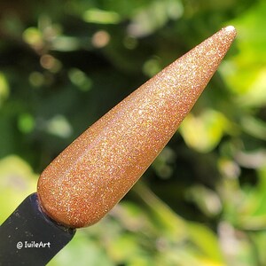 New Bronze Christmas Chrome Pigment Chameleon Pigment Nail Cosmetic DIY Resin Epoxy Art Craft