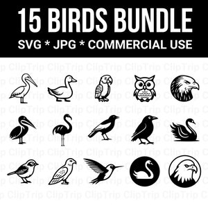 15 bundle di uccelli SVG e JPG, silhouette di uccelli SVG, clipart di uccelli svg, clipart di uccelli, vettore di uccelli, contorno nero, download immediato, uso commerciale