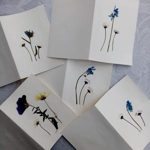 Postkarte, Karte mit Trockenblumen, Grußkarte, Geburtstagskarte