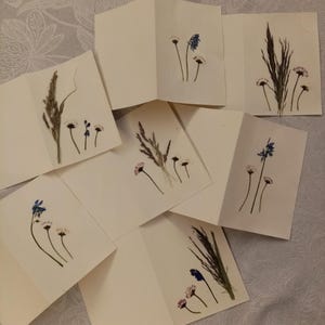 Carte postale, carte avec fleurs séchées, carte de vœux, carte d'anniversaire