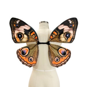 Small Buckeye Butterfly Costume Wings for Halloween image 1
