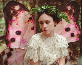 Alas de hada rosas Alas de disfraz de mariposa de nácar