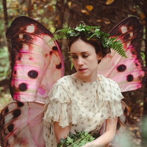 Pink Fairy Wings Mother of Pearl Butterfly Costume Wings