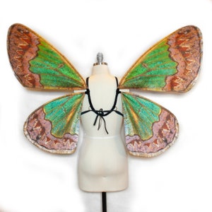 Large Geometrid Moth Costume Wings Pink and Green Fairy Wings