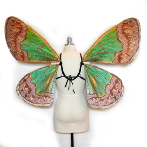 Large Geometrid Moth Costume Wings Pink and Green