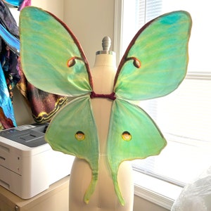 Green LUNA MOTH Fairy Wings for Halloween Costume Medium Size