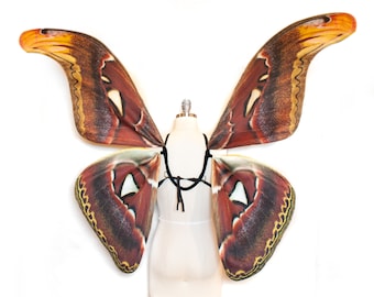 Large Moth Costume Wings Atlas MOTH Halloween Costume or Fairy Wings