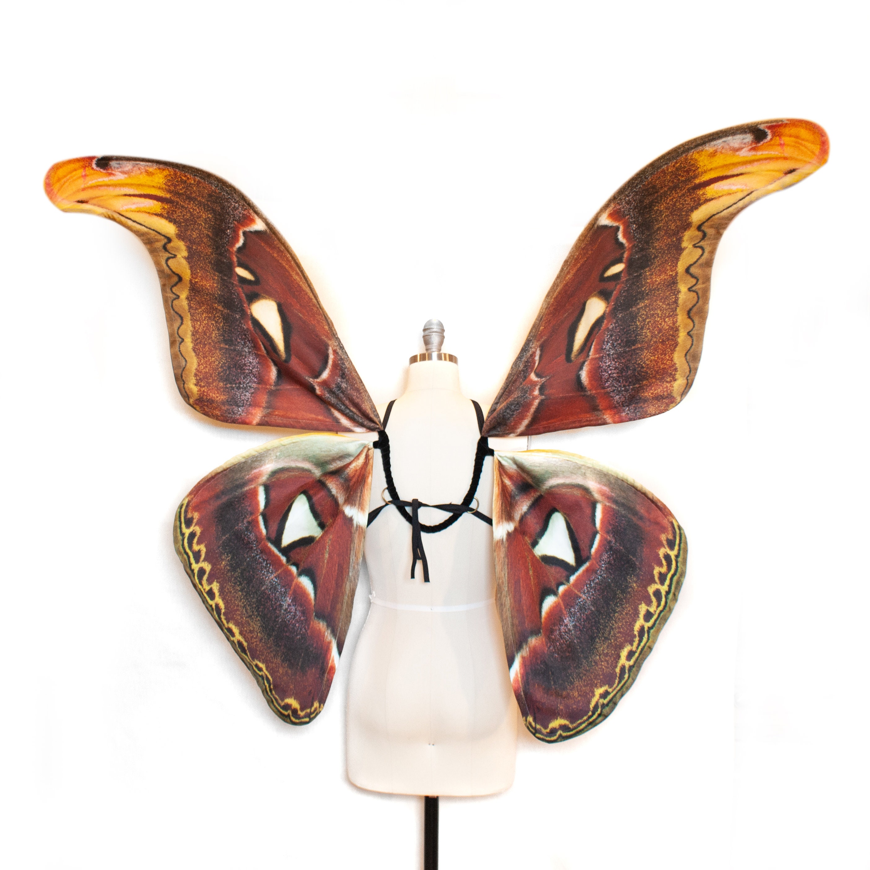 In stock - Large Moth Costume Wings Atlas MOTH Halloween Costume or Fairy Wings