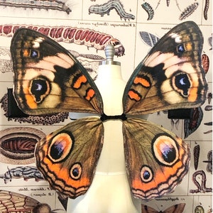 Buckeye Butterfly Costume Wings - Costume for Renaissance Festivals