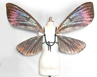 Fairy Wings Large Crambid Moth Costume Wings - Moth Halloween Costume