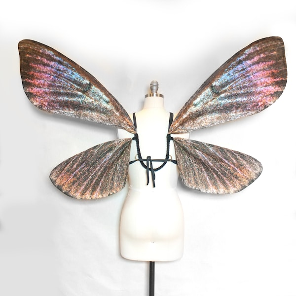 在庫あり - 妖精の羽 大きなクラムビッドモスコスチュームウィング - モスハロウィンコスチューム