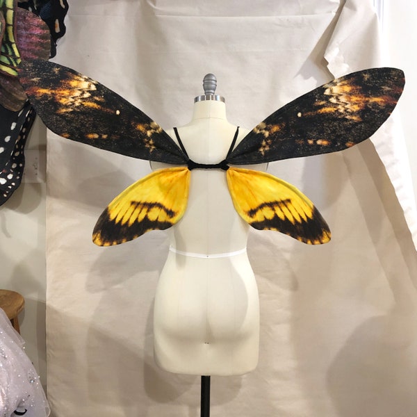 Deaths Head Hawk Moth Costume Wings Halloween Costume medium size