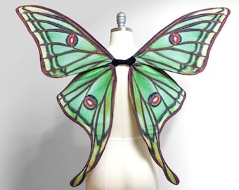 Spanish Moon MOTH Costume Wings, Green Fairy Wings, Moth Halloween Costume Medium Size