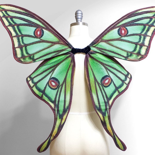 Spanish Moon MOTH Costume Wings, Green Fairy Wings, Moth Halloween Costume Medium Size