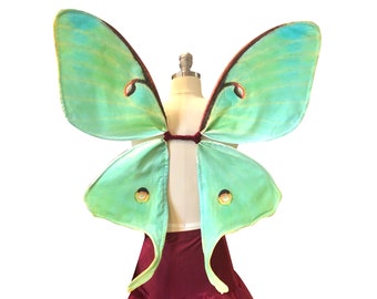 Moth Wings Etsy