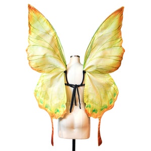 Leaf-Inspired Fairy Wings for Fairy Costume Green Leaf Plant Art by Sunset Dragon