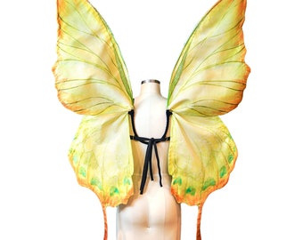 Leaf-Inspired Fairy Wings for Fairy Costume Green Leaf Plant