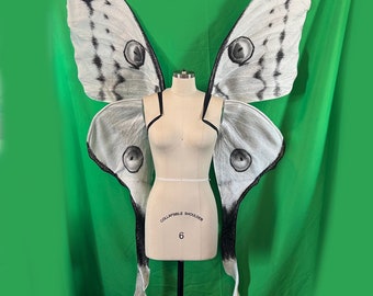 White Vampire Moth Costume Wings Extra Large