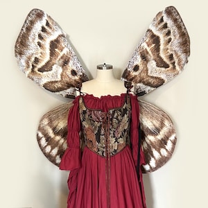 Large Mother Shipton Costume Wings MOTH Halloween Costume or Fairy Wings