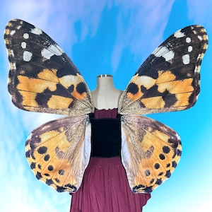 Große Painted Lady Schmetterling Kostüm Flügel - Schmetterling Halloween Kostüm