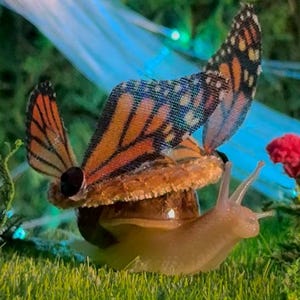 Butterfly Costume for Pet Snail - Silk Monarch Butterfly Wings - Adjustable Snail Crown - Pet Snail Costume